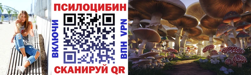 как найти наркотики  Верхний Тагил  Галлюциногенные грибы мухоморы 